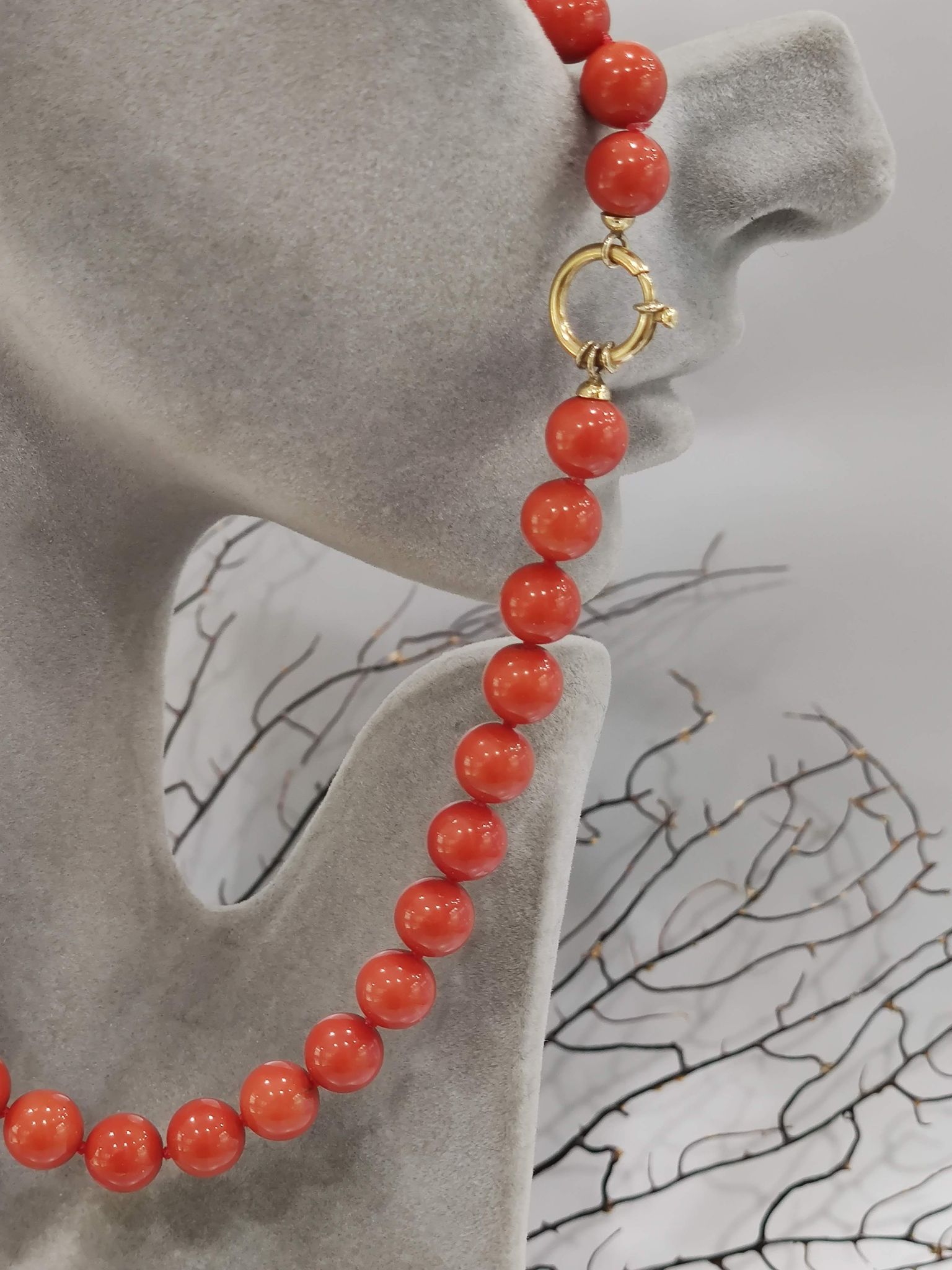 Singolo Strand lunga figura ovale collana di corallo rosso con il bianco perla d'acqua dolce Singolo Strand lunga figura ovale collana di corallo rosso con il bianco perla d'acqua dolce